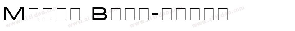 Micra Bold字体转换